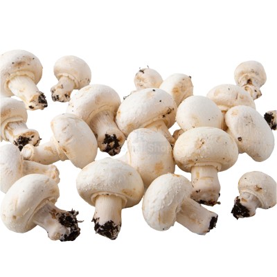 Шампиньоны свежие 500 г - купить в Айтате